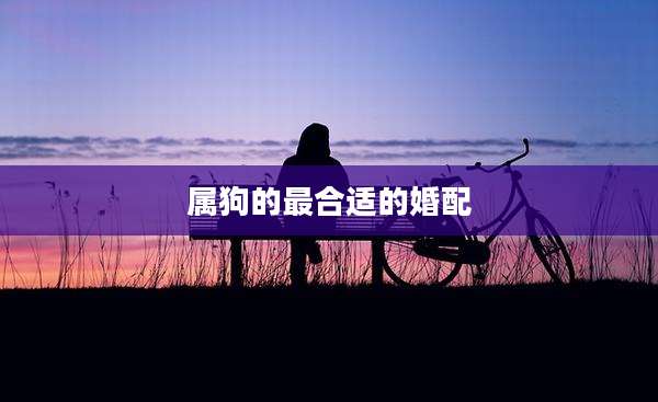 属狗的最合适的婚配