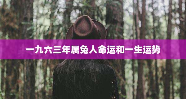 一九六三年属兔人命运和一生运势