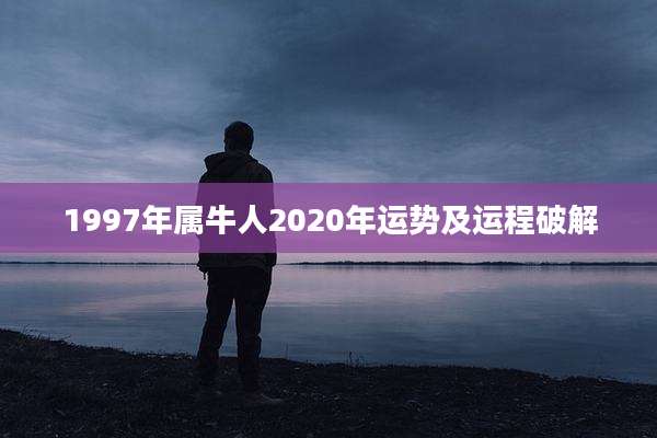 1997年属牛人2020年运势及运程破解