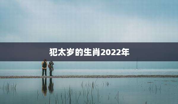 犯太岁的生肖2022年