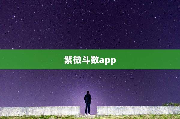 紫微斗数app