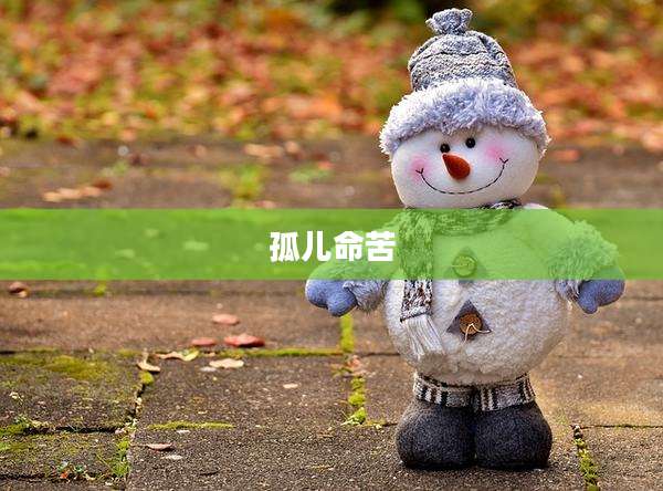 孤儿命苦
