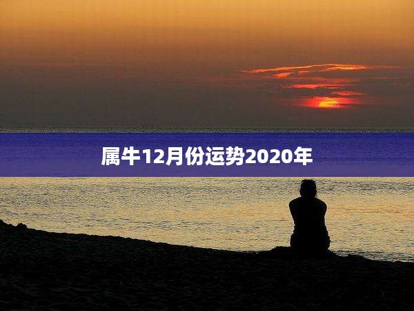 属牛12月份运势2020年