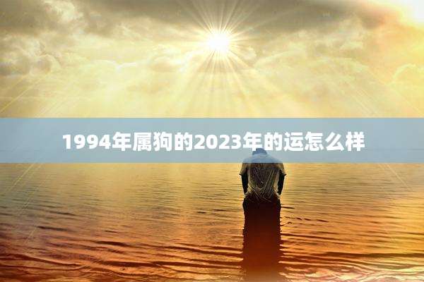 1994年属狗的2023年的运怎么样