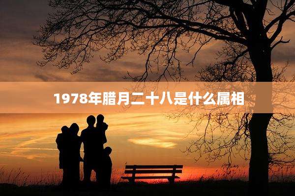 1978年腊月二十八是什么属相