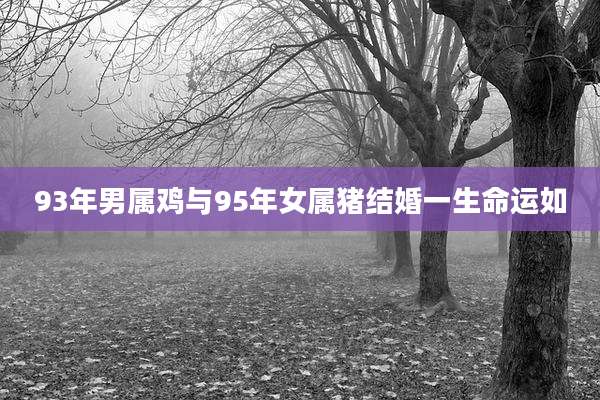 93年男属鸡与95年女属猪结婚一生命运如
