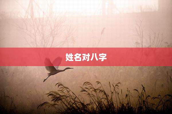 姓名对八字