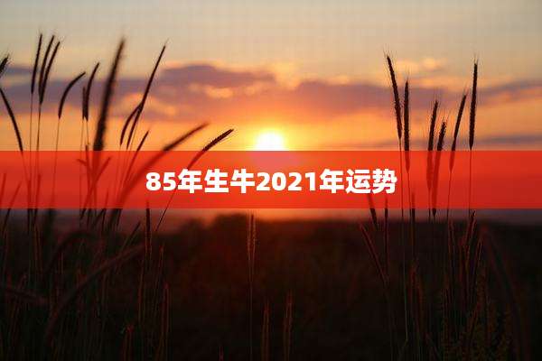 85年生牛2021年运势