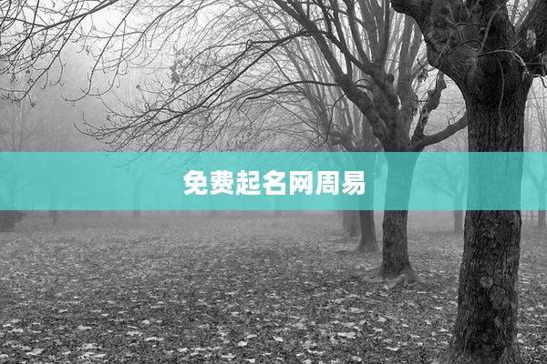 免费起名网周易