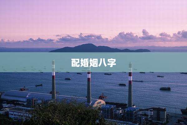 配婚姻八字