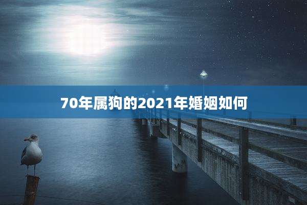 70年属狗的2021年婚姻如何