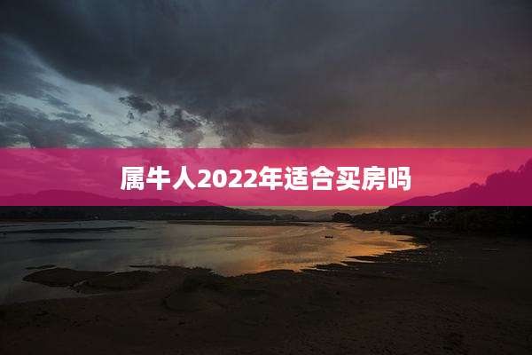 属牛人2022年适合买房吗