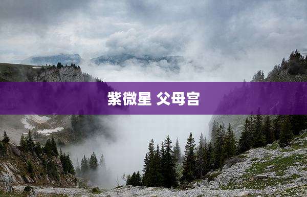紫微星 父母宫