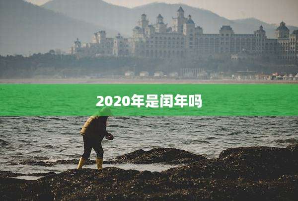 2020年是闰年吗
