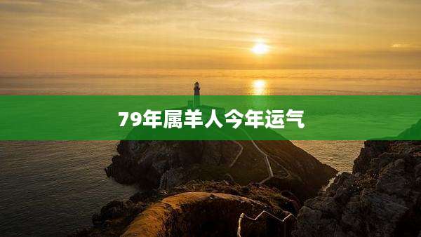 79年属羊人今年运气