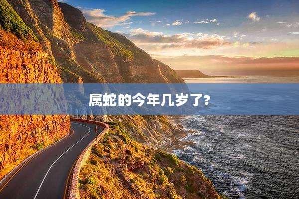 属蛇的今年几岁了?