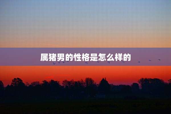 属猪男的性格是怎么样的