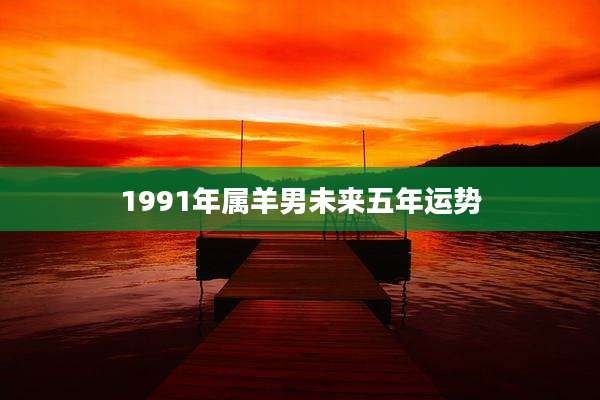 1991年属羊男未来五年运势