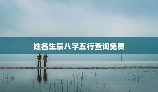 姓名生辰八字五行查询免费
