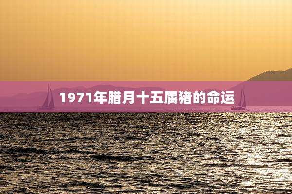 1971年腊月十五属猪的命运