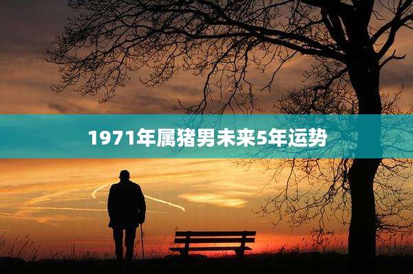 1971年属猪男未来5年运势