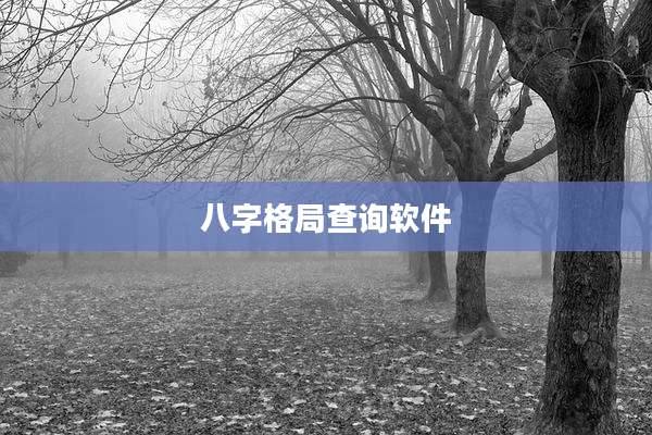 八字格局查询软件