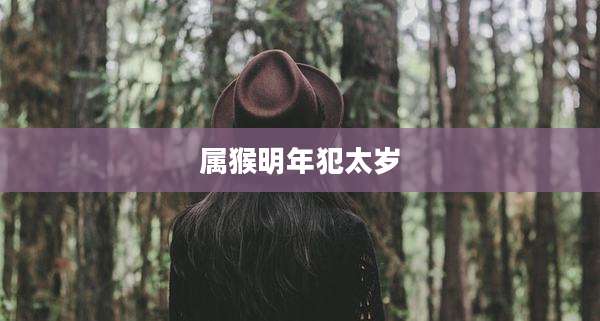 属猴明年犯太岁