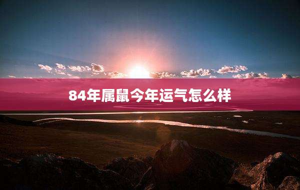 84年属鼠今年运气怎么样