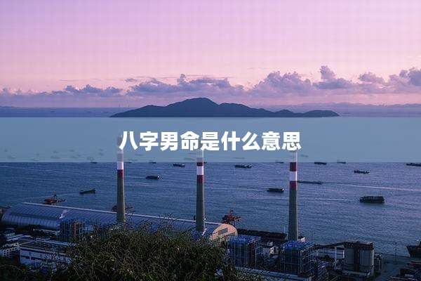 八字男命是什么意思