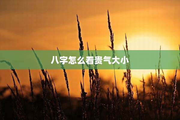 八字怎么看贵气大小