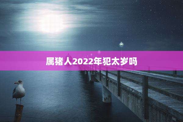 属猪人2022年犯太岁吗