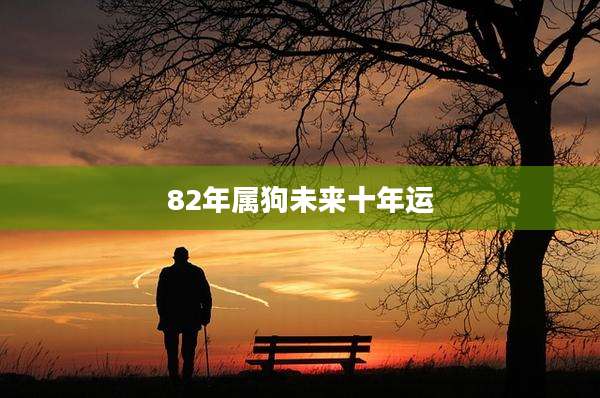 82年属狗未来十年运