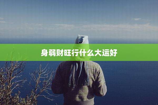 身弱财旺行什么大运好