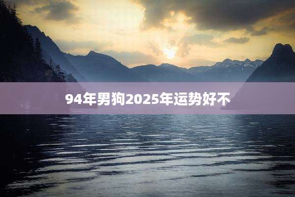 94年男狗2025年运势好不