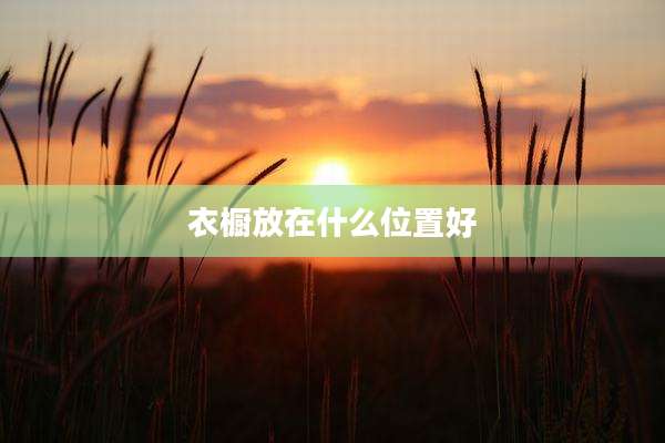衣橱放在什么位置好