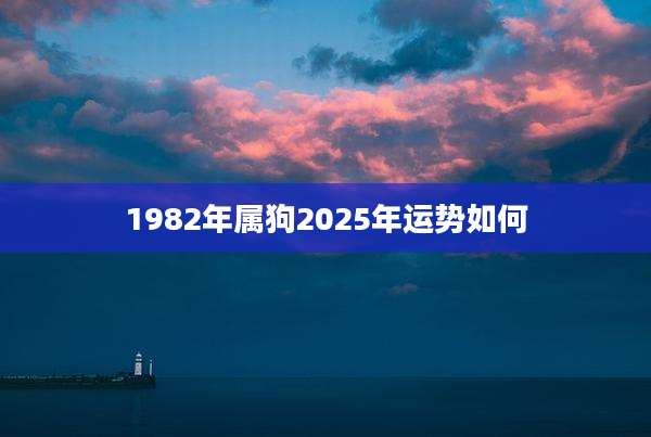 1982年属狗2025年运势如何