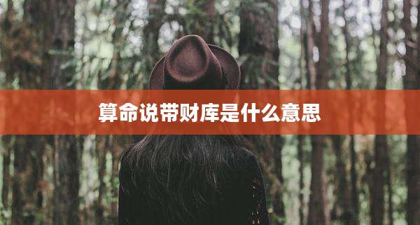 算命说带财库是什么意思