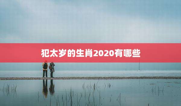 犯太岁的生肖2020有哪些