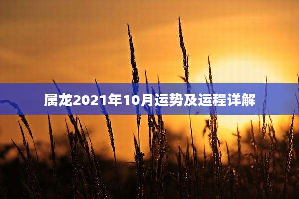 属龙2021年10月运势及运程详解