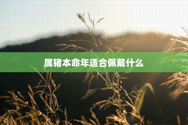 属猪本命年适合佩戴什么