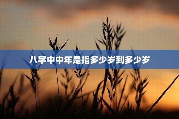八字中中年是指多少岁到多少岁