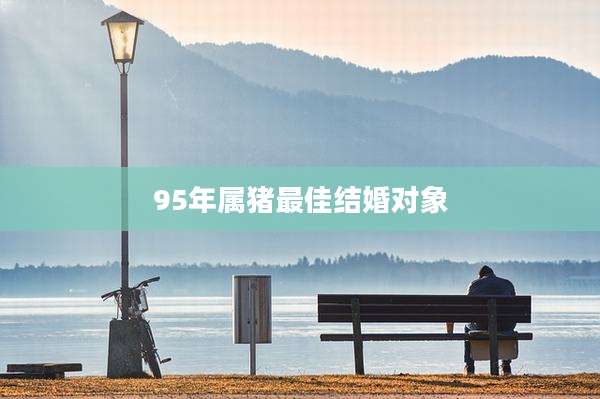 95年属猪最佳结婚对象