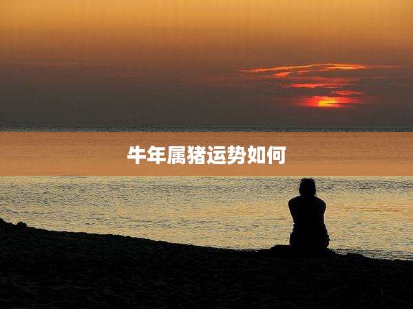 牛年属猪运势如何