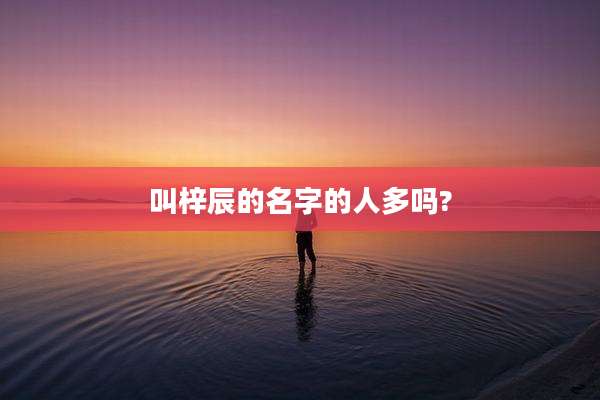 叫梓辰的名字的人多吗?
