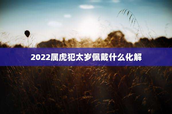 2022属虎犯太岁佩戴什么化解