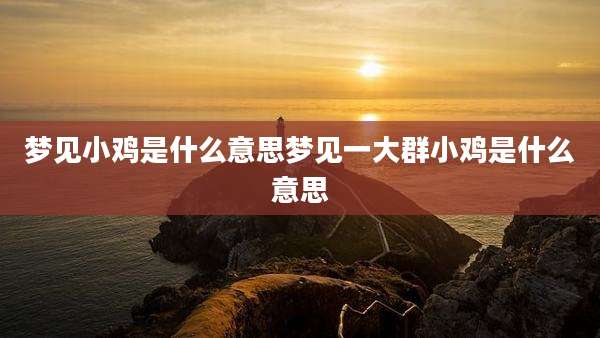 梦见小鸡是什么意思梦见一大群小鸡是什么意思