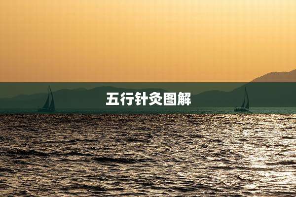 五行针灸图解