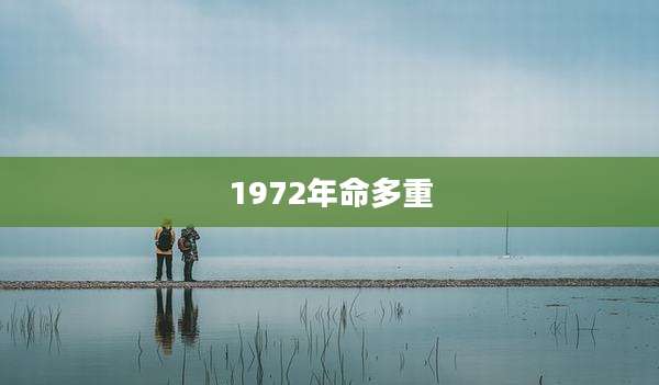 1972年命多重