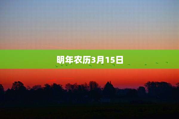 明年农历3月15日