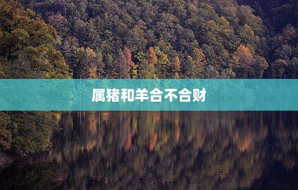 属猪和羊合不合财